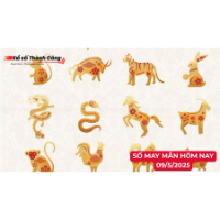 Con số may mắn hôm nay 09/5/2025 theo tuổi và cung hoàng đạo